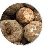 Konjac Extract Fiber