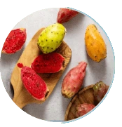 Prickly Pear Extract