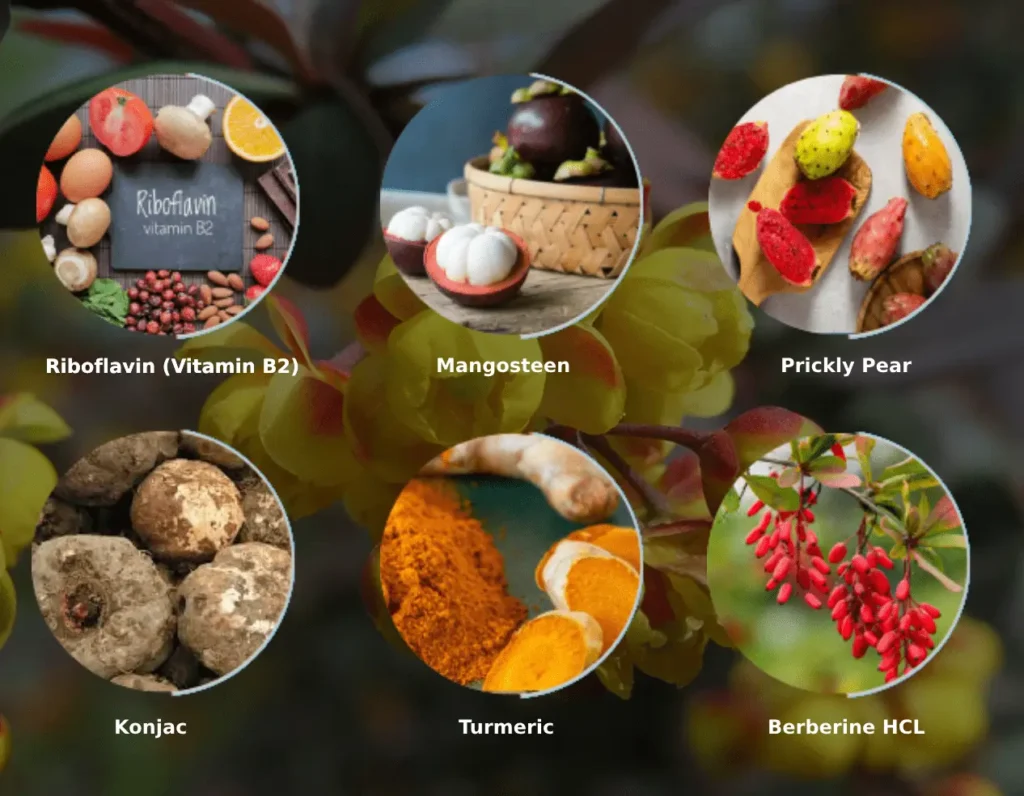 Ingredients